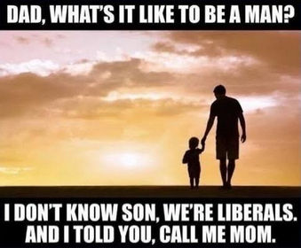 liberals377