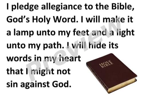 pledge to bible 9