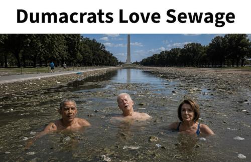 democrats in their natural habitat