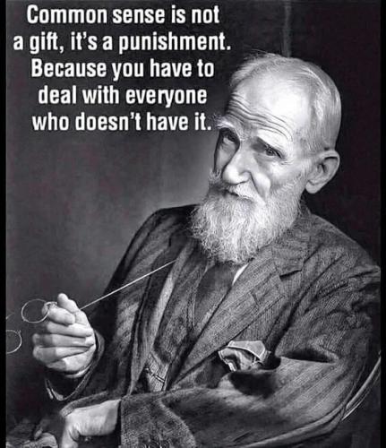 common-sense-is-punishment