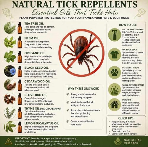 Natural Tick Repellents