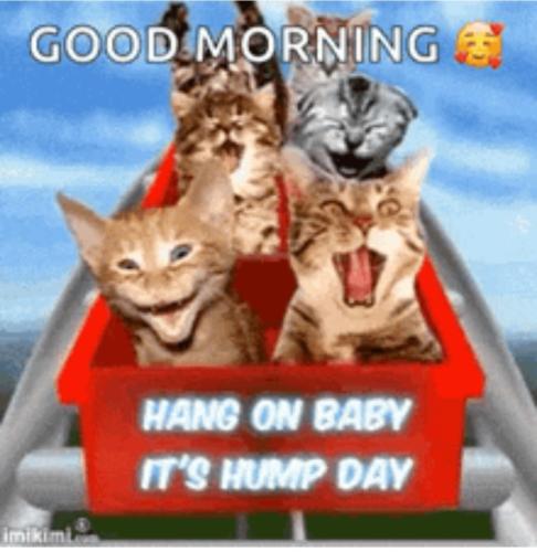07:53:06 GMT-0400