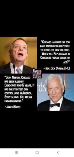 chicagoguncontrol
