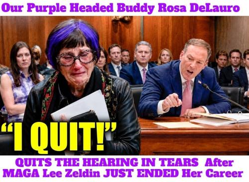 Purple Headed buddy Rosa DeLauro QUITS hearing.768px