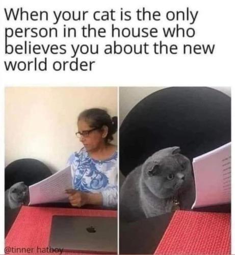 catorder
