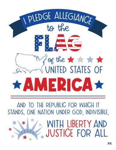 pledge 47