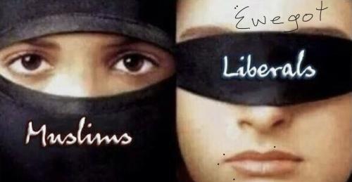 MusLibs