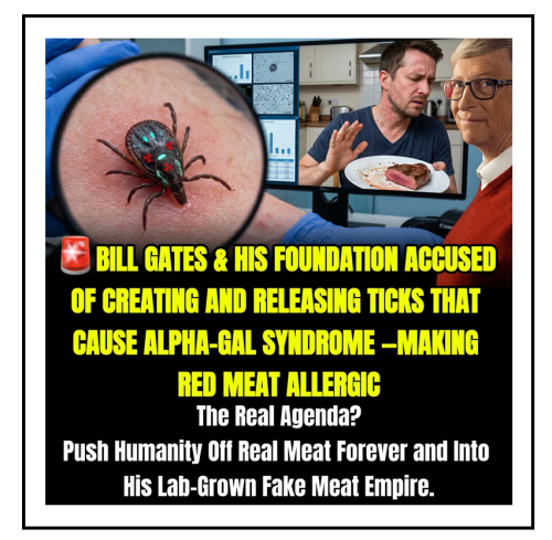 fake meat empire