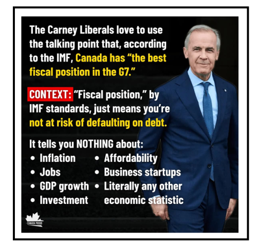 fiscal position