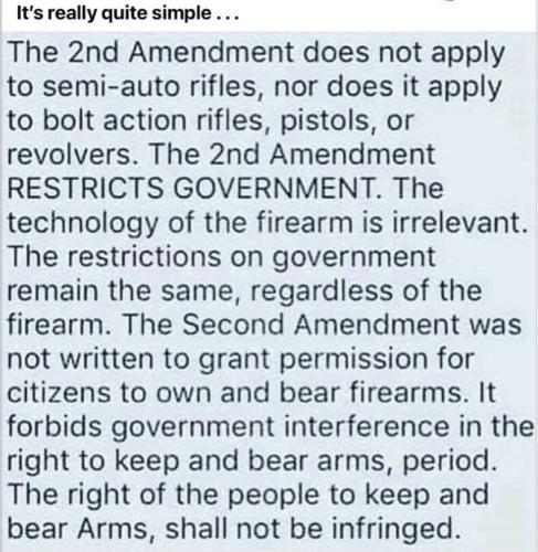 amendment 2 t