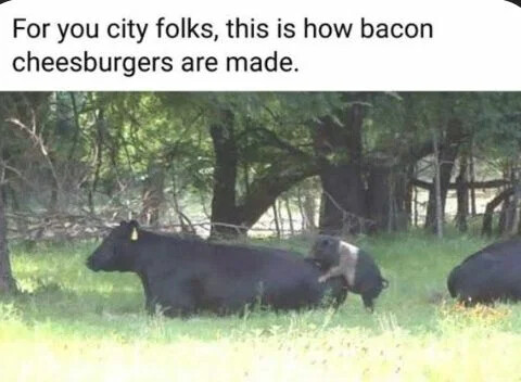 how-bacon-cheeseburgers-made