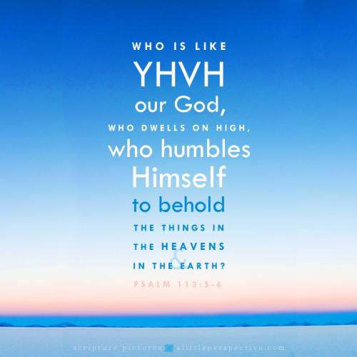 psa-113-5-NKJV-unsplash