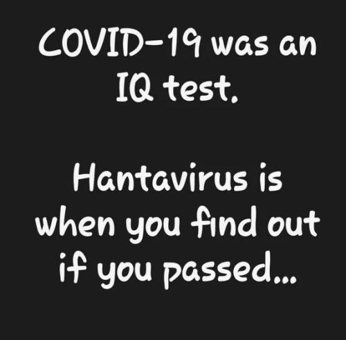 covid-hanta