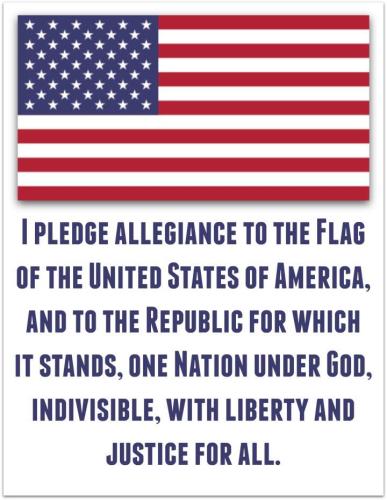 pledge 61