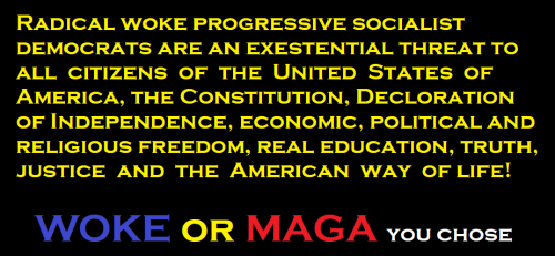 Woke vs Maga