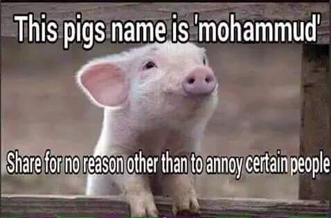 FB_IMG_1557181217200