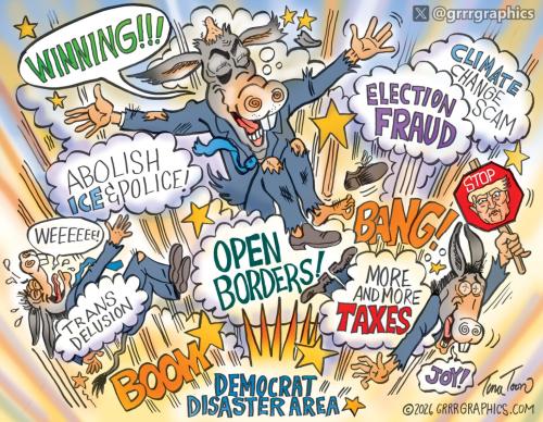 democrat_disaster_area-2026-1536x1195
