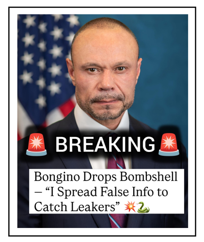 catch leakers