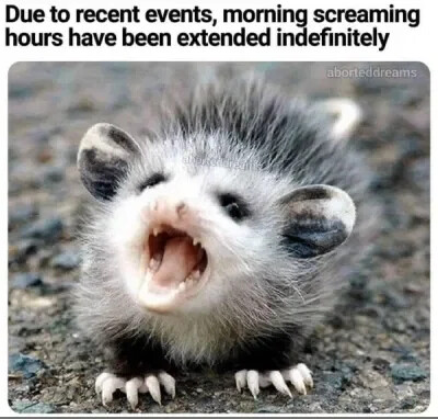 morning-screaming-hours