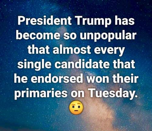 IMG_2549