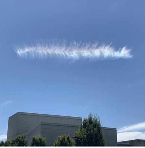 A Cloudapillar