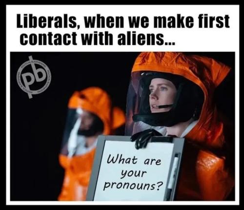 17720171633388999789168757351849_1184614071555237