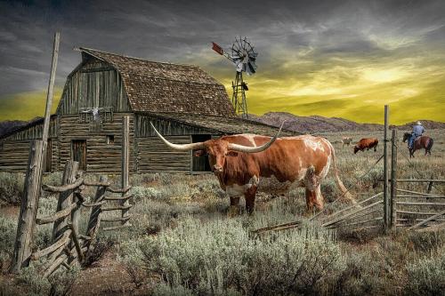 ranch-scene-with-longhorn-and-cowboy-randall-nyhof