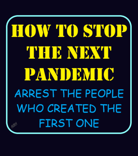 FakePandemic