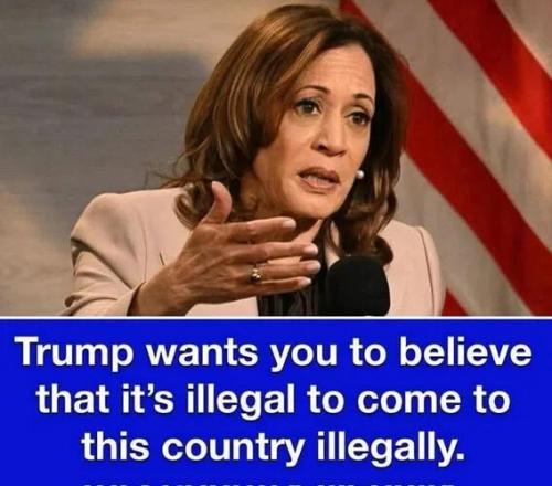 trump-wants-believe-illegal-to-come-illegally