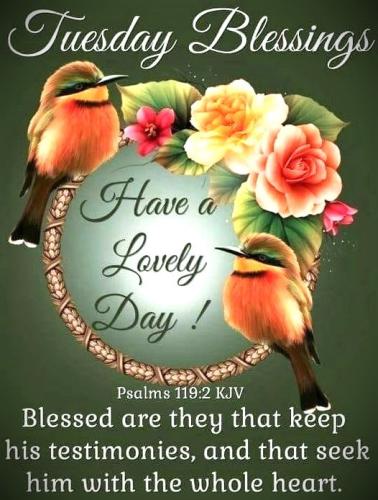 050526 - Blessed are those,  Psm 119-2