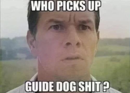 guide-dog-shit