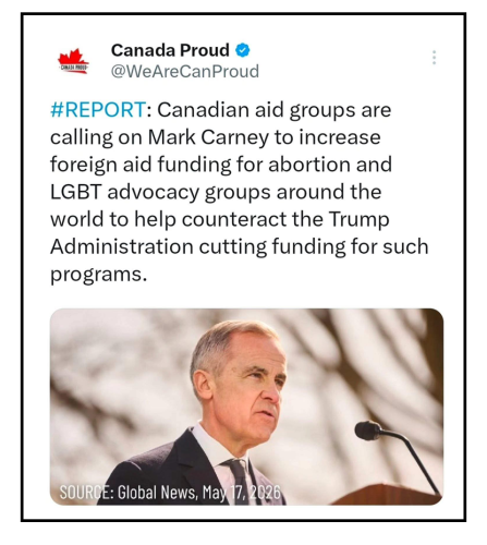 canadian aid groups