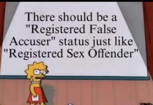 registered-false-accuser