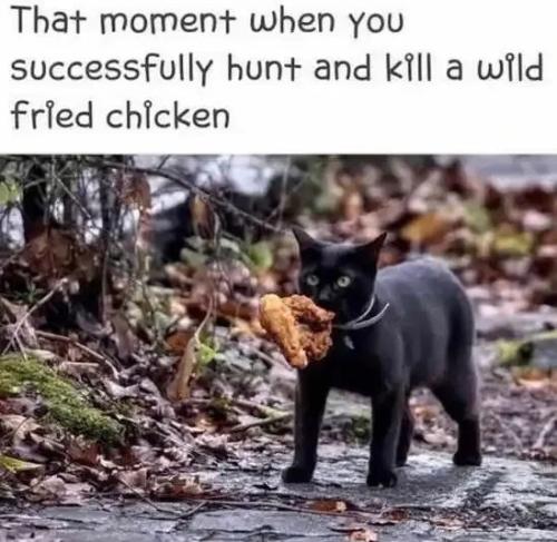 wild-fried-chicken