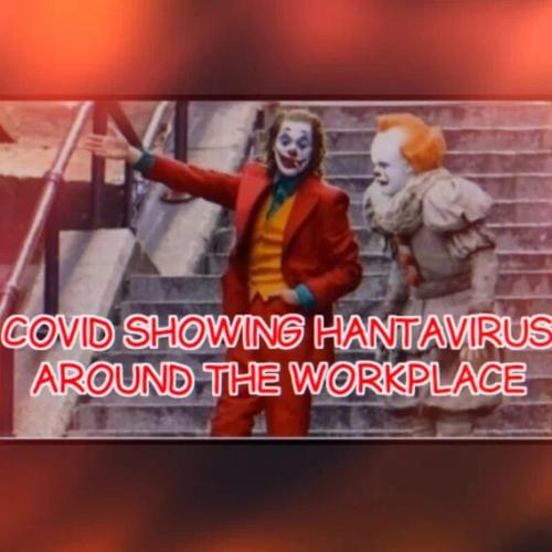 covid-showing-hantavirus-around