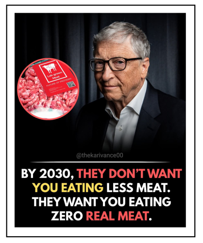 zero real meat