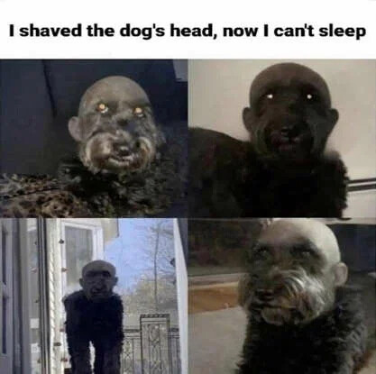sahve-dog-head