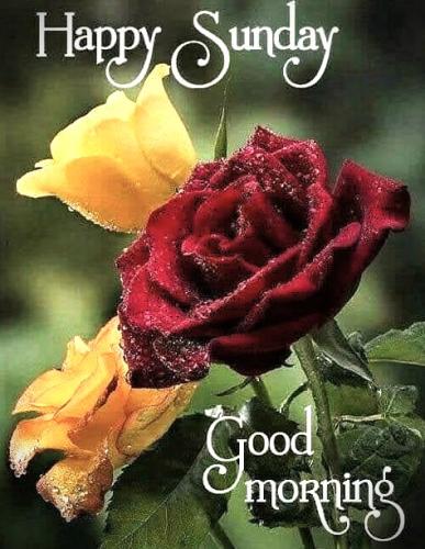 053126 - Happy Sunday