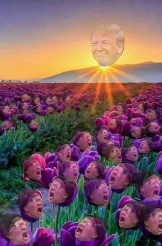 20260510_055047