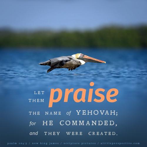 psa-104-5-NKJV-unsplash