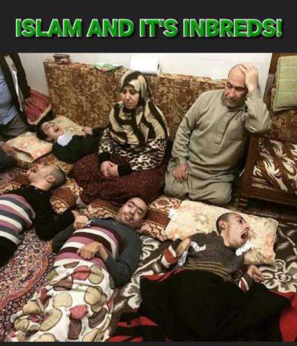 islam-inbreds