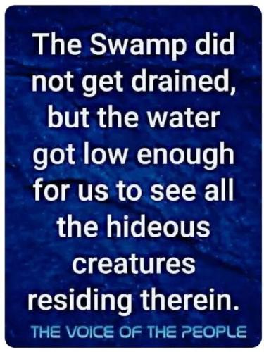 swamp-not-emptied