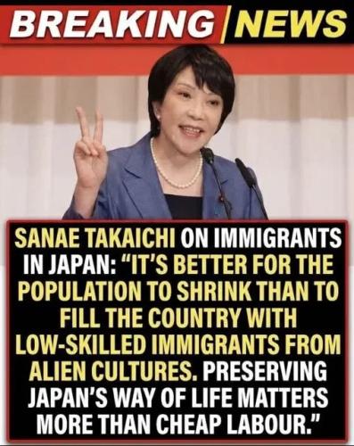 japan illegals