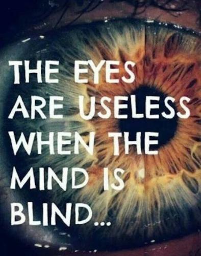 1C-Blind