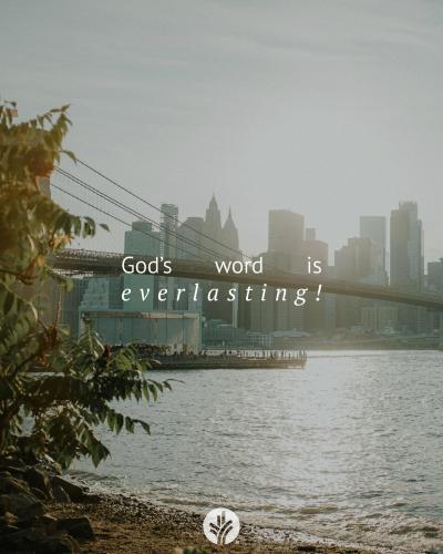 05:04:11 GMT-0700