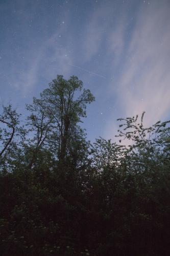 IMG_8954_Compressed