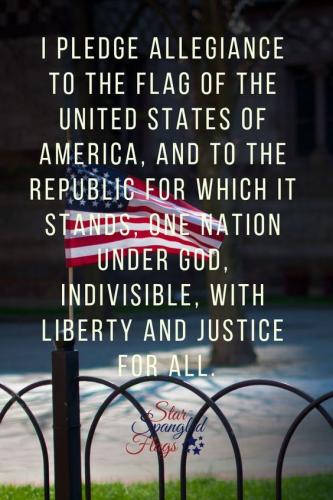 pledge 49