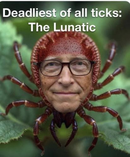 lunatic