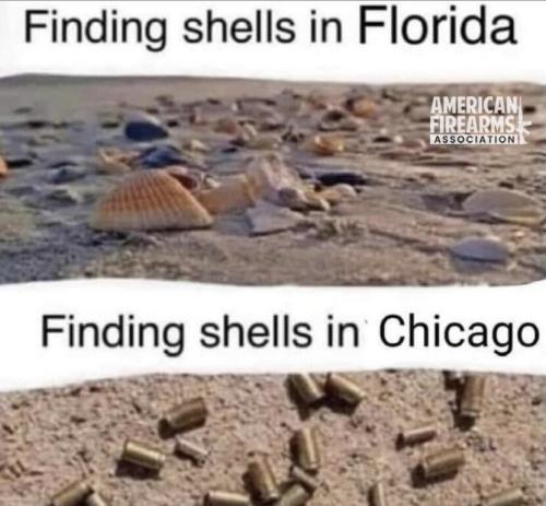 1779827466649