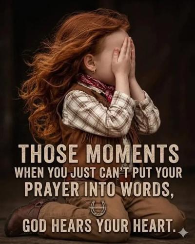 TESTHUB_photos_users_KPBY8Tc46ldqLjWXf6bqxqOW3AR2_-OtaGycUHcT1ndZIYYIk_img_rsz__1100x1100